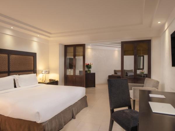 Odyssee Park Hotel : photo 2 de la chambre suite senior