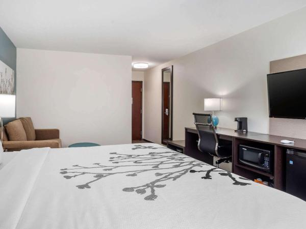 Sleep Inn & Suites near Westchase : photo 2 de la chambre suite lit king-size – non-fumeurs