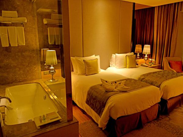 Radisson Blu Jaipur : photo 8 de la chambre superior double or twin- non smoking room