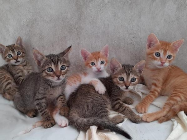 Libert'Art : photo 4 de la chambre maison de vacances