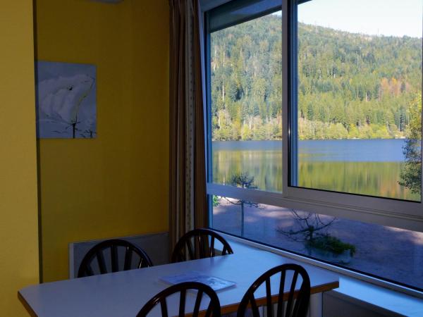 Appart'Hôtel LIDO au bord de l'eau : photo 3 de la chambre studio standard face au lac