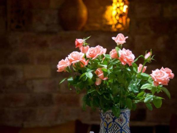 Riad Jade Mogador : photo 3 de la chambre chambre lits jumeaux mima