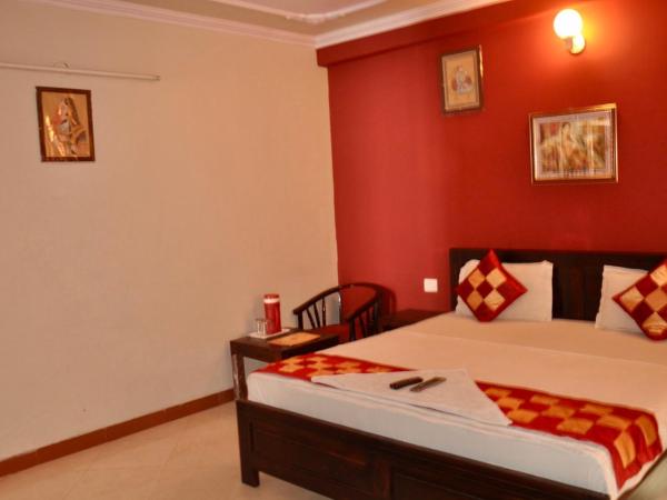 Tuk Tuk Backpackers Jaipur : photo 3 de la chambre chambre deluxe double ou lits jumeaux