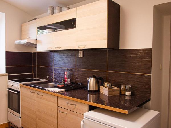 Penzion Poruba : photo 5 de la chambre appartement - rez-de-chaussée