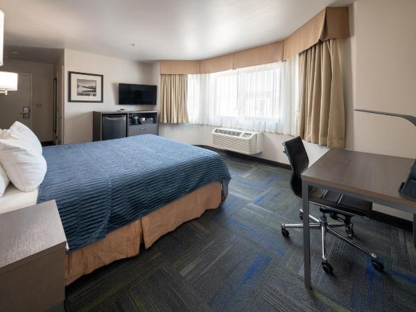 Buena Vista Motor Inn : photo 2 de la chambre chambre quadruple