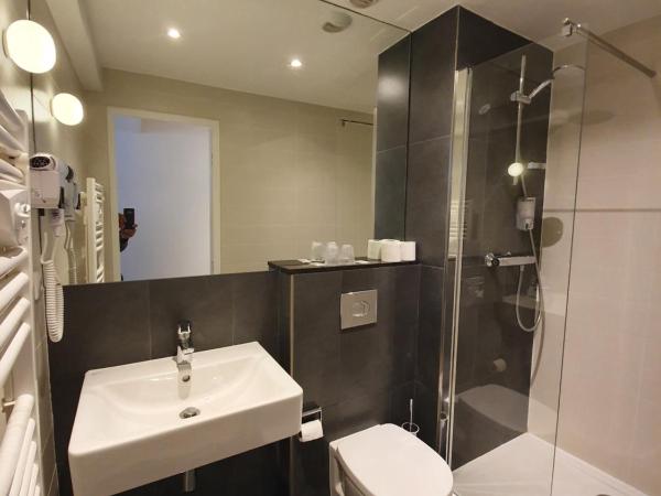 Hôtel De La Herse d'Or : photo 3 de la chambre chambre double supérieure