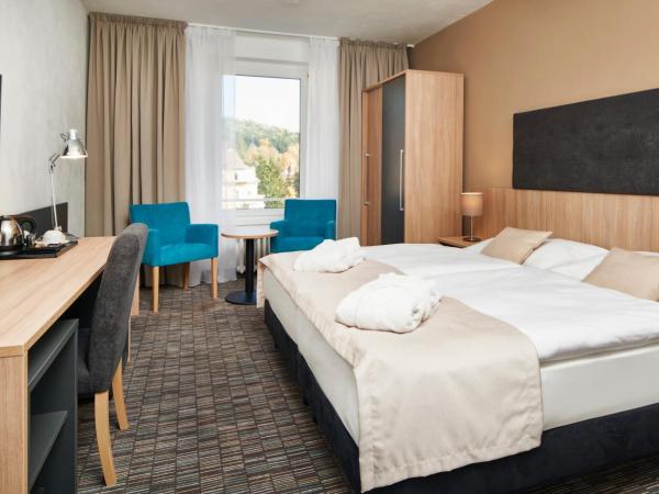 Spa Hotel Devin : photo 4 de la chambre chambre double deluxe