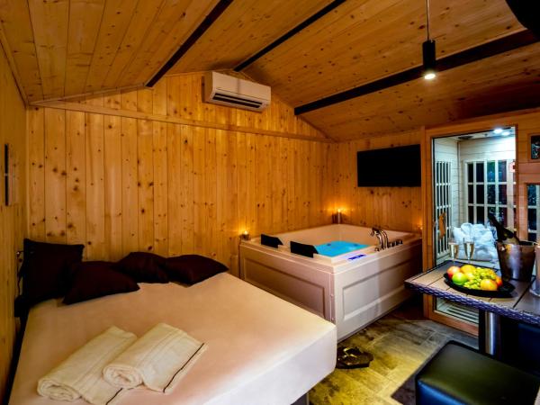 Villa Elisio Hotel & Spa : photo 5 de la chambre chambre double avec accès au spa