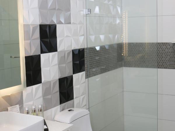 FCH Hotel Providencia : photo 3 de la chambre suite lit queen-size