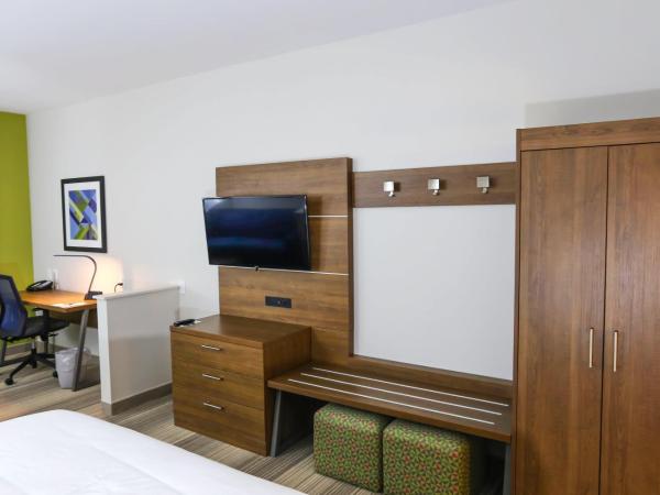 Holiday Inn Express & Suites - Houston IAH - Beltway 8, an IHG Hotel : photo 3 de la chambre suite lit king-size – non-fumeurs