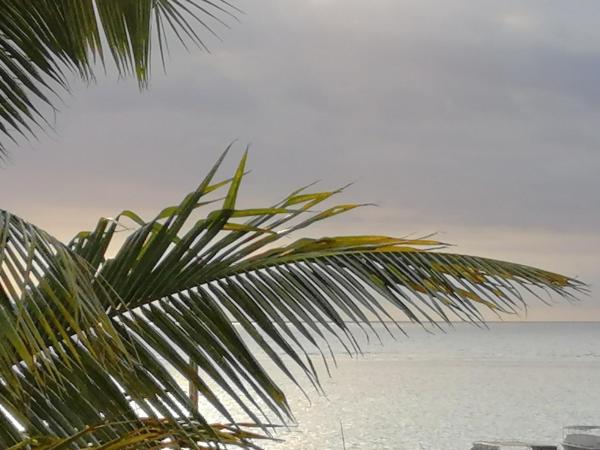 Easy Stay Residence : photo 10 de la chambre chambre double avec balcon - vue partielle sur mer