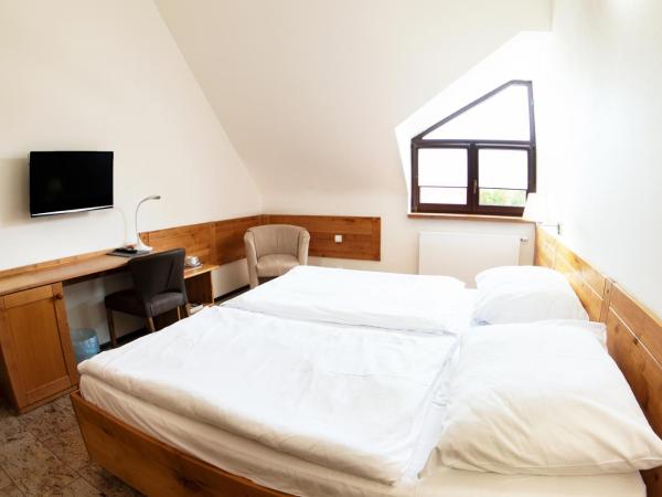 Hotel Sluneční dvůr : photo 5 de la chambre chambre double ou lits jumeaux