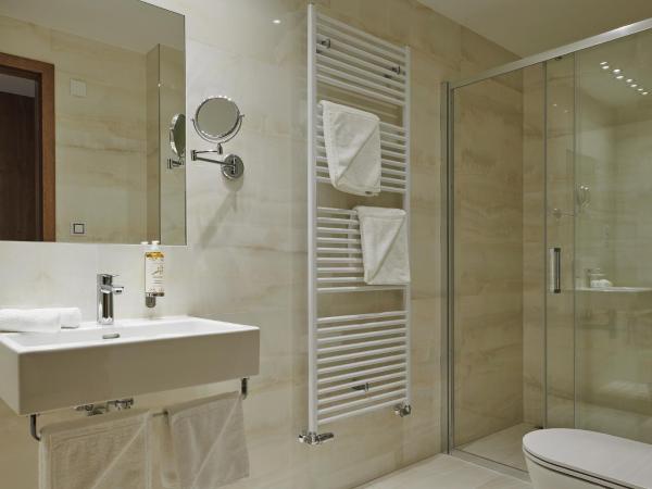 Hotel Passage : photo 3 de la chambre chambre double ou lits jumeaux standard