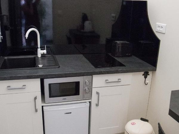 Appart-hôtel Chanzy / Angoulême : photo 6 de la chambre appartement supérieur