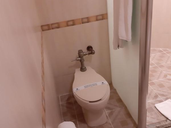 AUTO HOTEL LEGARIA : photo 4 de la chambre suite avec jacuzzi