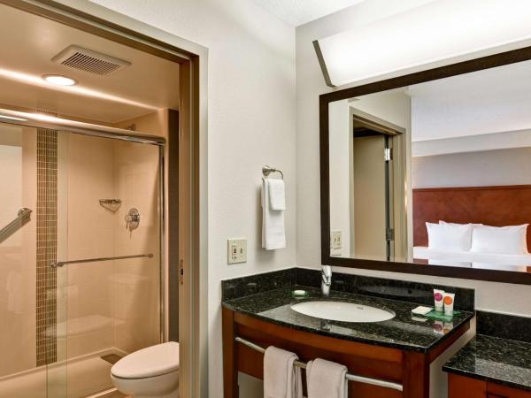 Hyatt Place Memphis Wolfchase : photo 4 de la chambre chambre lit king-size avec canapé-lit - Étage supérieur