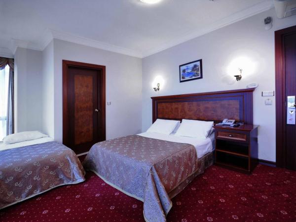 Grand Eyuboglu Hotel : photo 5 de la chambre chambre simple