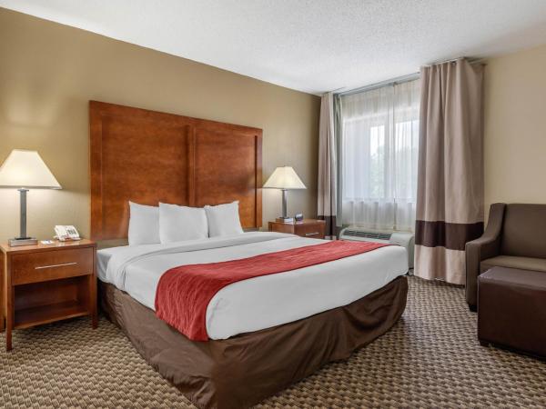 Comfort Inn South : photo 5 de la chambre suite lit king-size – non-fumeurs