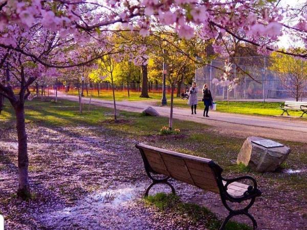 The Sunshine House-Free Parking : photo 10 de la chambre two-bedroom for families with private bathroom