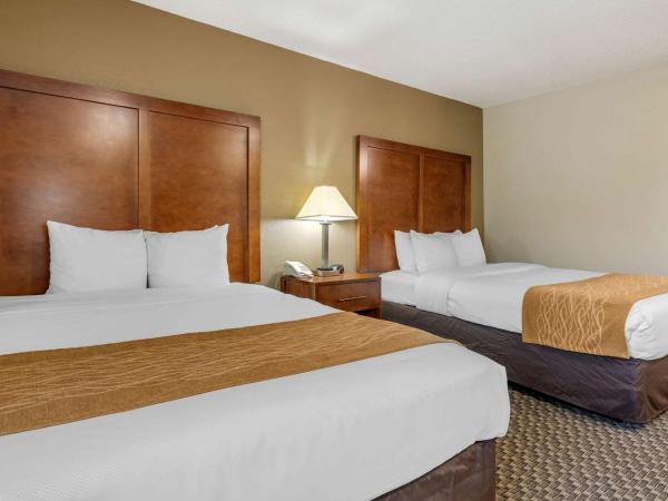 Comfort Inn South : photo 2 de la chambre chambre 2 lits queen-size - non-fumeurs