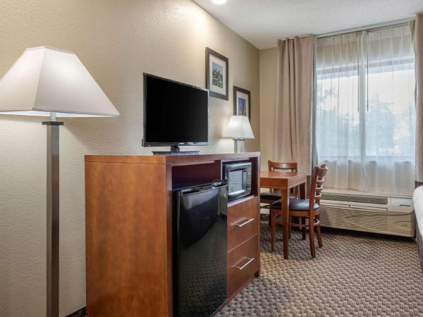 Comfort Inn South : photo 3 de la chambre chambre 2 lits queen-size - non-fumeurs