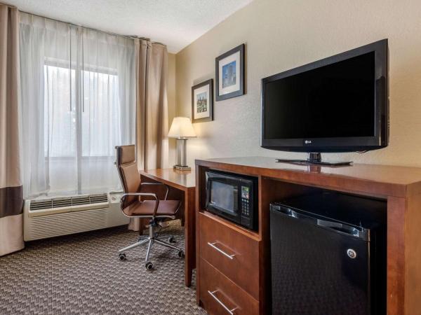 Comfort Inn South : photo 6 de la chambre chambre lit king-size