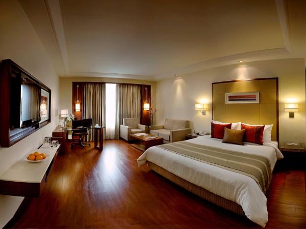 Park Inn Gurgaon : photo 8 de la chambre deluxe double room with early check in at 10:30am and late check out at 3pm,  with 10% discount on food and soft beverages