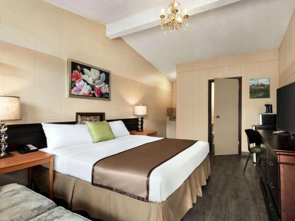 Thriftlodge Edmonton : photo 2 de la chambre studio king suite- non-smoking