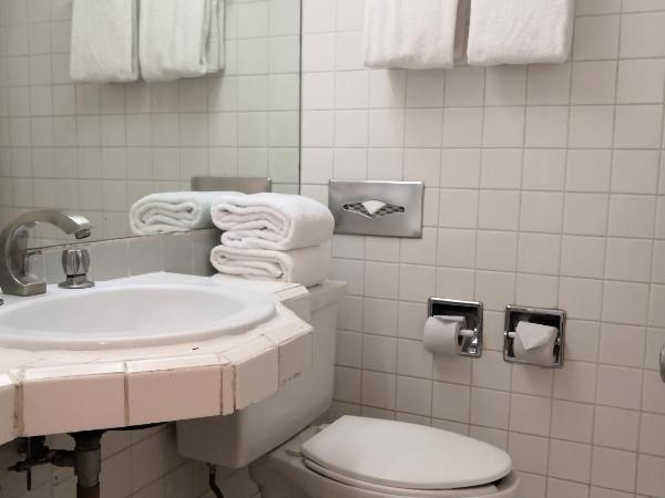 Hotel Son- Mar Monterrey Centro : photo 8 de la chambre chambre double standard avec 2 lits doubles