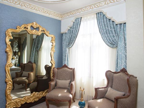 Daru Sultan Hotels Galata : photo 2 de la chambre chambre deluxe - vue sur la tour de galata