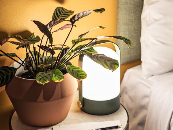 The Jensen Potts Point : photo 10 de la chambre chambre lits jumeaux ou triple avec salle de bains commune