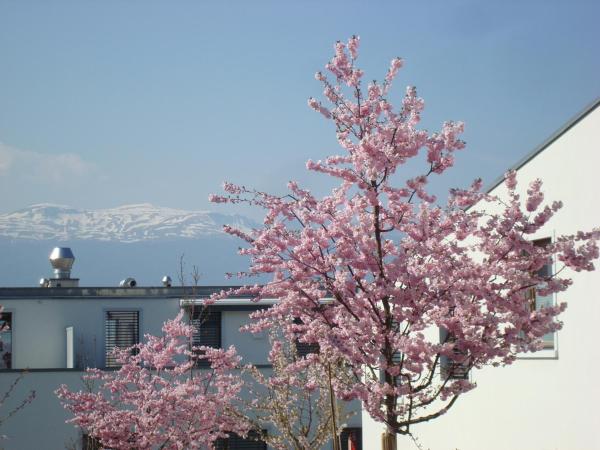 Wonderlandscape Guest House : photo 9 de la chambre chambre double standard