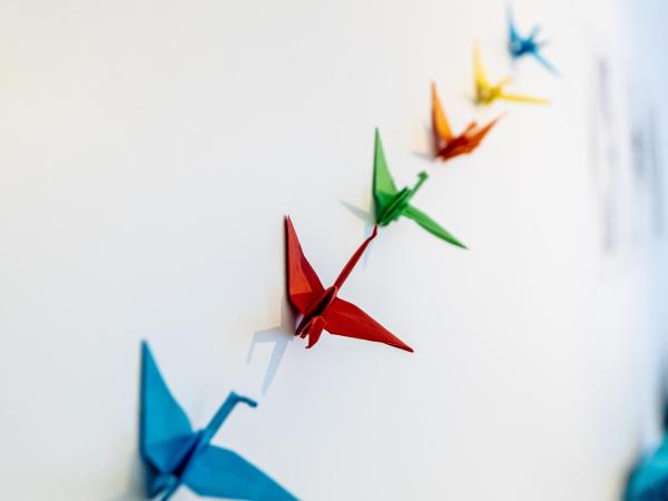 B&B 1 uit de 100 : photo 2 de la chambre chambre double avec terrasse