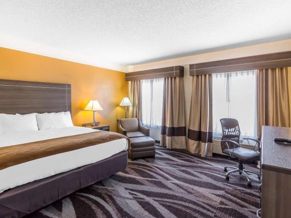 Comfort Inn near Frost Bank Center : photo 1 de la chambre chambre lit king-size - non-fumeurs