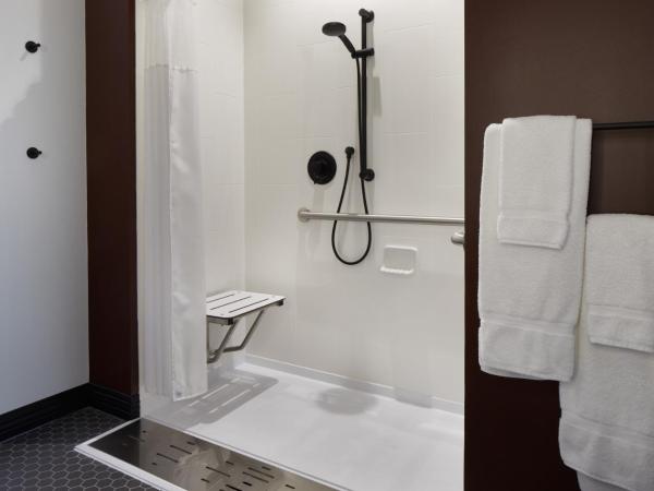 TRYP by Wyndham Pittsburgh/Lawrenceville : photo 3 de la chambre chambre lit king-size de luxe - accessible aux personnes à mobilité réduite