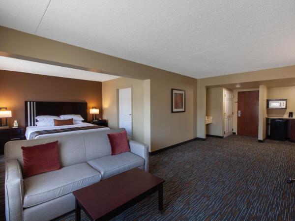 Wingate by Wyndham Oklahoma City Airport : photo 2 de la chambre suite studio lit king-size - non-fumeurs