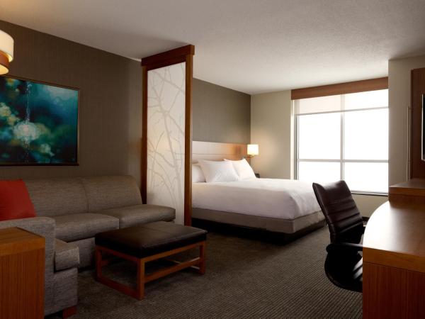 Hyatt Place Virginia Beach Town Center : photo 7 de la chambre chambre lit king-size avec canapé-lit