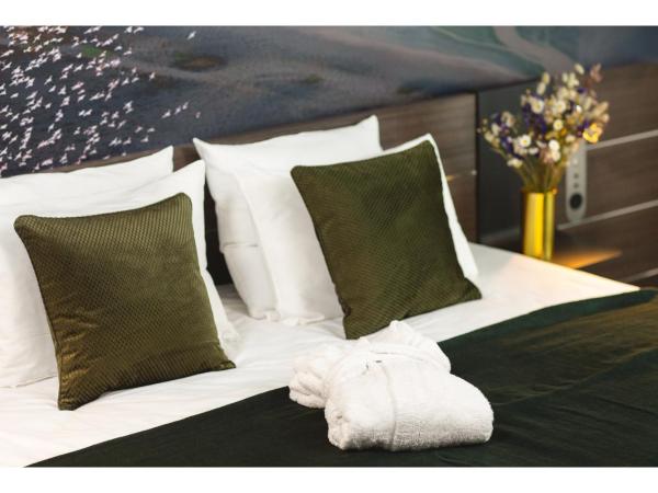 Novotel Paris Porte Versailles : photo 6 de la chambre chambre double exécutive - Étage supérieur