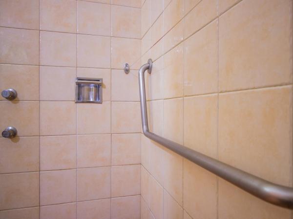 Hotel Casa Barrocco Oaxaca : photo 9 de la chambre chambre double - accessible aux personnes à mobilité réduite