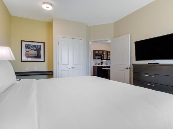 Candlewood Suites - San Antonio Lackland AFB Area, an IHG Hotel : photo 3 de la chambre suite 1 chambre lit king-size avec canapé-lit