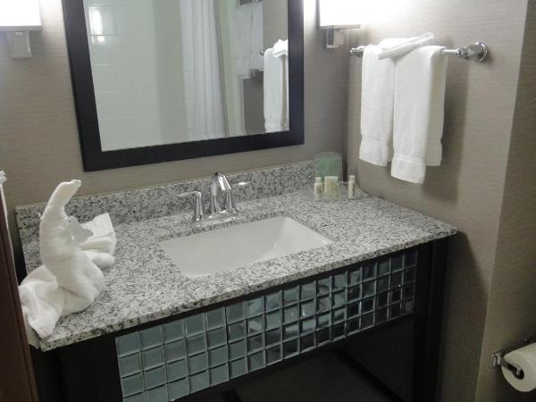 Holiday Inn Hotel & Suites Northwest San Antonio, an IHG Hotel : photo 5 de la chambre chambre lit king-size standard
