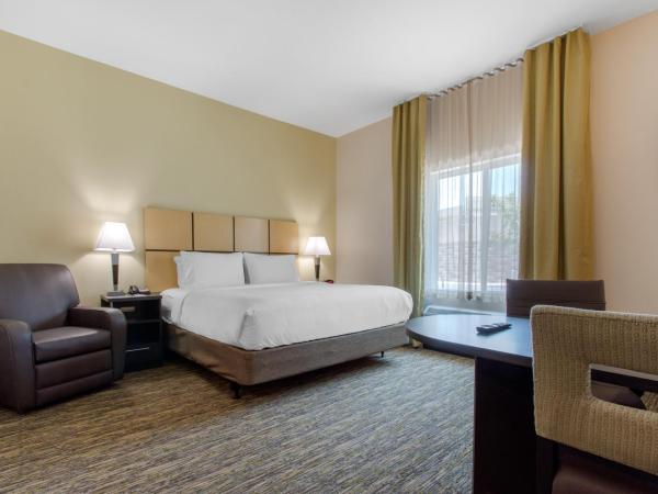 Candlewood Suites - San Antonio Lackland AFB Area, an IHG Hotel : photo 9 de la chambre suite studio lit king-size