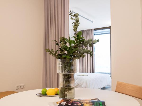 Haus im Tal : photo 4 de la chambre appartement centre-ville avec cuisine