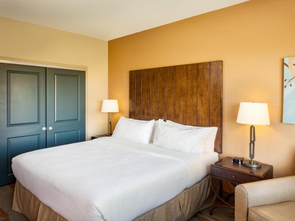 Holiday Inn San Antonio Northwest- SeaWorld Area, an IHG Hotel : photo 3 de la chambre chambre lit king-size standard avec douche accessible en fauteuil roulant