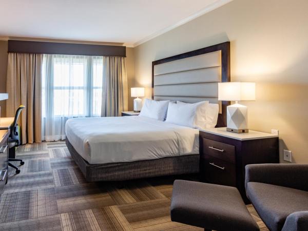 Holiday Inn Express Savannah - Historic District, an IHG Hotel : photo 1 de la chambre chambre lit king-size - accessible aux personnes à mobilité réduite / adapté aux malentendants