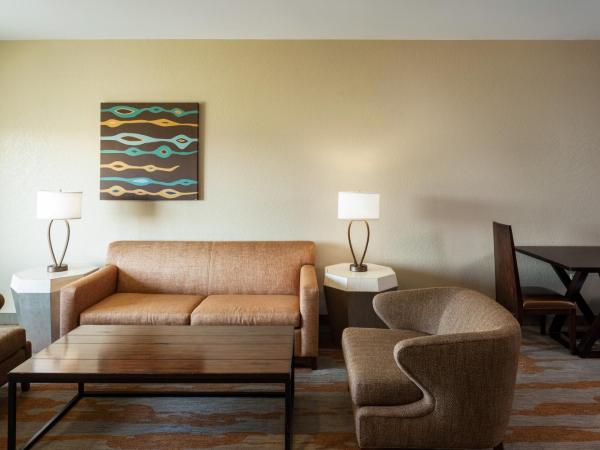 Holiday Inn San Antonio Northwest- SeaWorld Area, an IHG Hotel : photo 2 de la chambre suite deluxe - accessible aux personnes à mobilité réduite - non-fumeurs