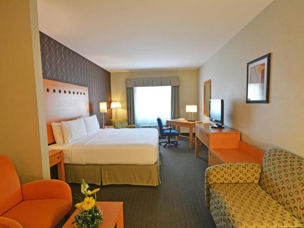 Holiday Inn Express & Suites Monterrey Aeropuerto, an IHG Hotel : photo 4 de la chambre suite lit king-size