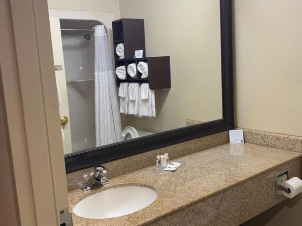 Comfort Suites Columbia at Harbison : photo 4 de la chambre suite exécutive - lit king-size