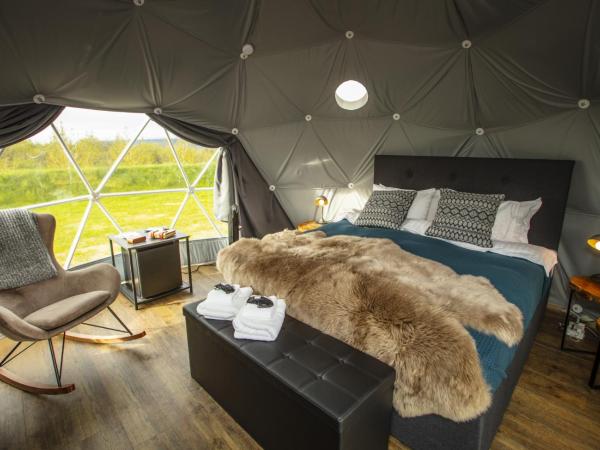 Reykjavik Domes : photo 4 de la chambre hébergement standard dôme