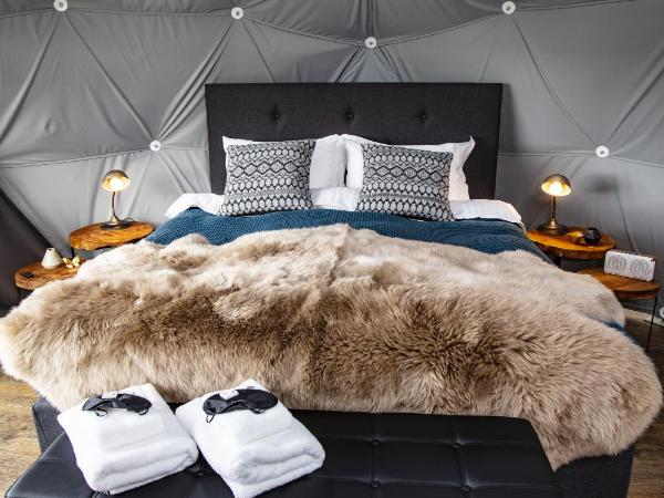 Reykjavik Domes : photo 3 de la chambre hébergement standard dôme